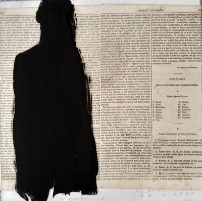 JoAn_Bettini_silhouette3.jpg